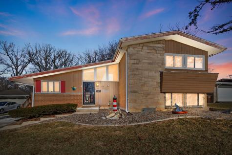 64 Blackhawk Drive Park Forest IL 60466