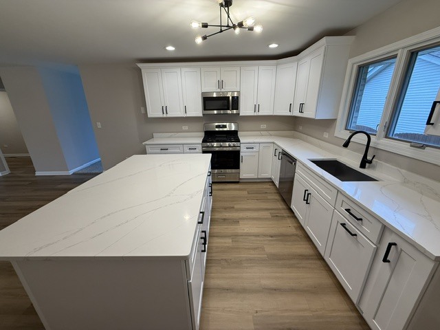 509 Pueblo Drive New Lenox IL 60451