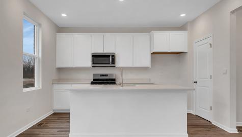 6207 Leinster Lane Tinley Park IL 60477