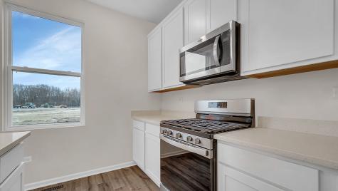6207 Leinster Lane Tinley Park IL 60477