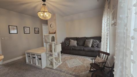311 South Third Street Peotone IL 60468