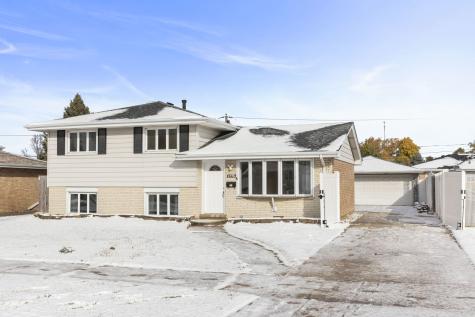 6538 106TH Place Chicago Ridge IL 60415