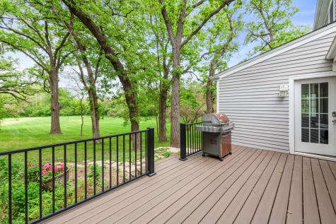 21101 North Middleton Drive Kildeer IL 60047