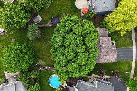 1211 Laurel Lane Gurnee IL 60031