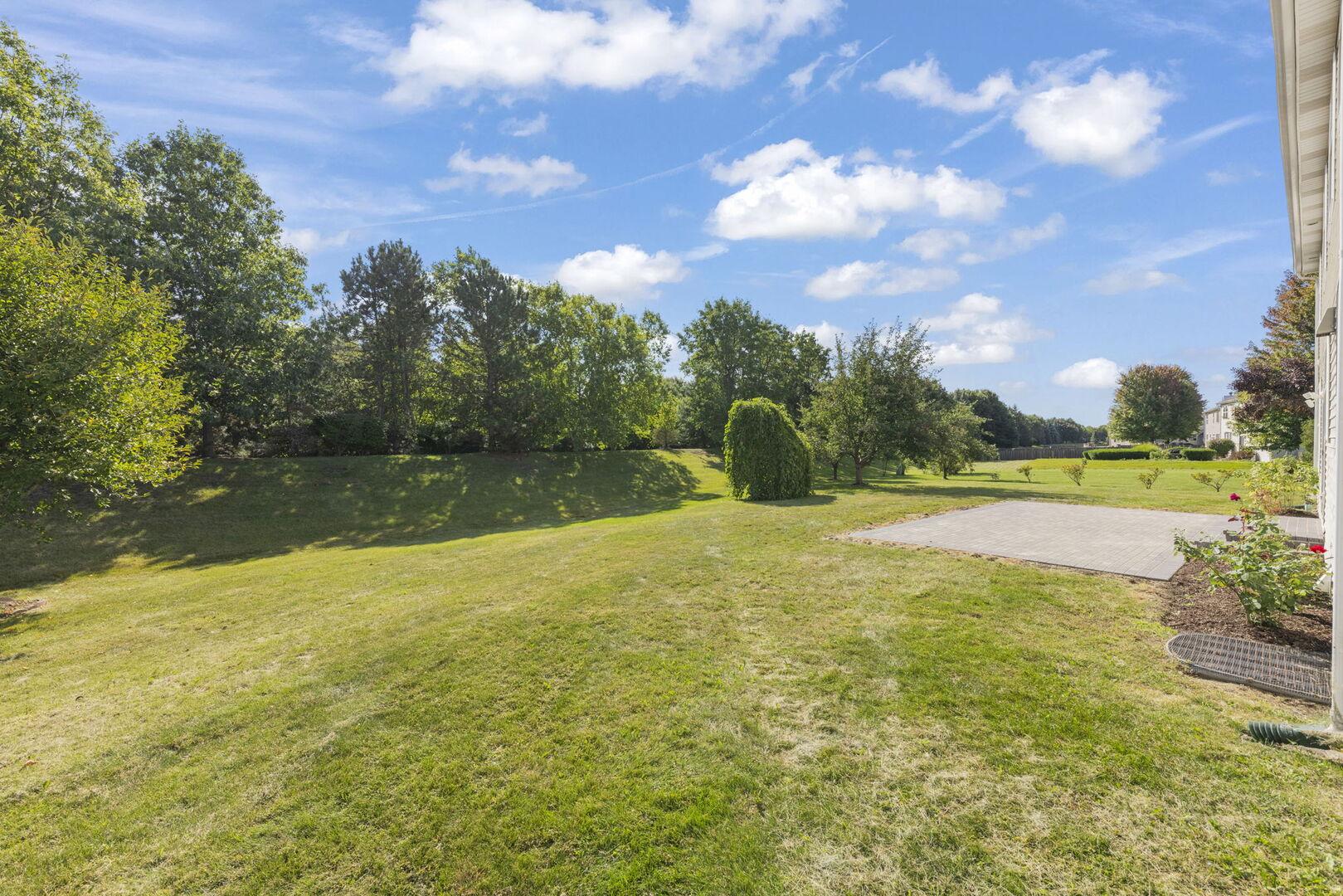 5 Player Court Bolingbrook IL 60490