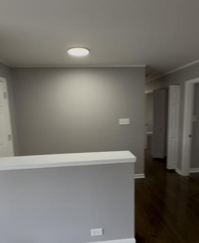 800 Elm Street Flossmoor IL 60422