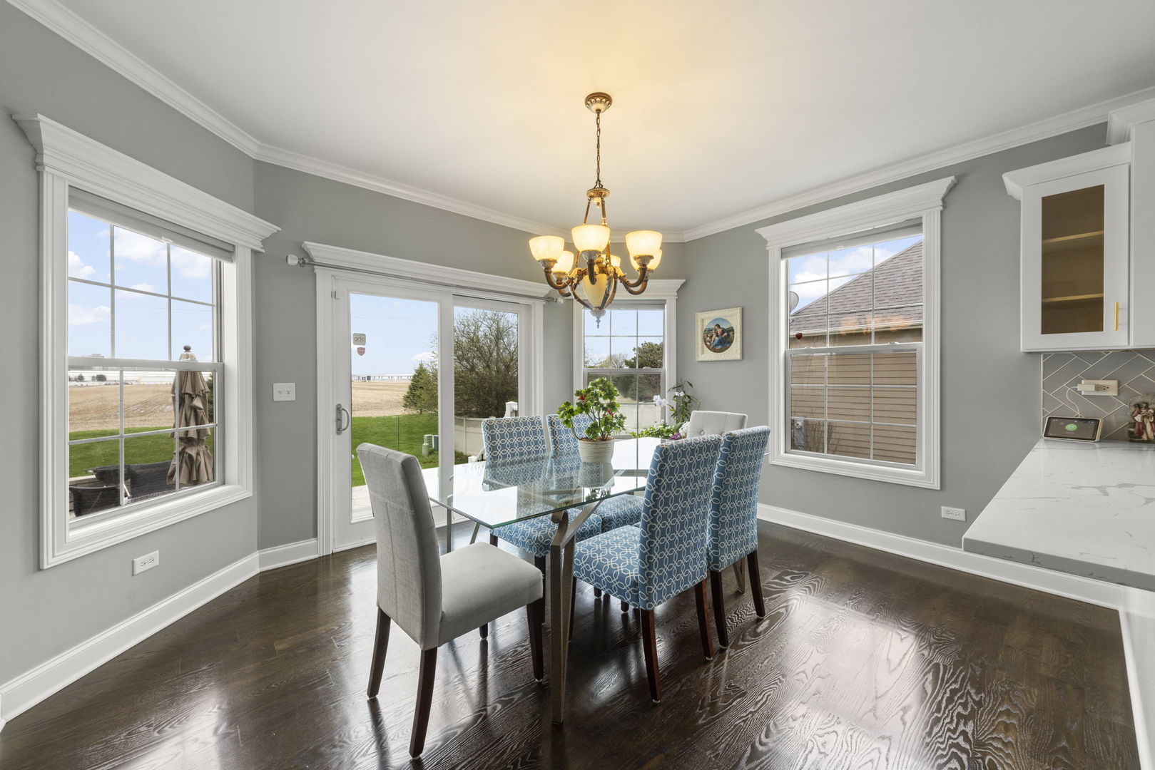 13452 Skyline Drive Plainfield IL 60585