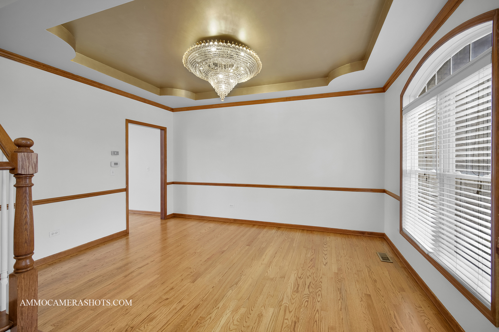 3421 Goldfinch Drive Naperville IL 60564