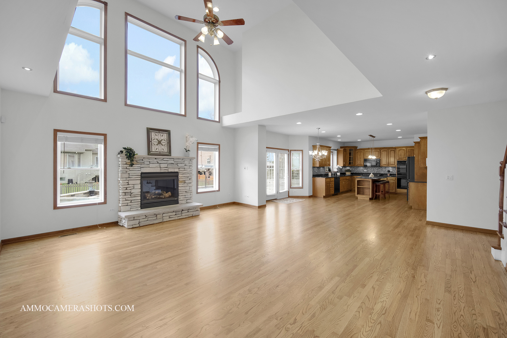 3421 Goldfinch Drive Naperville IL 60564