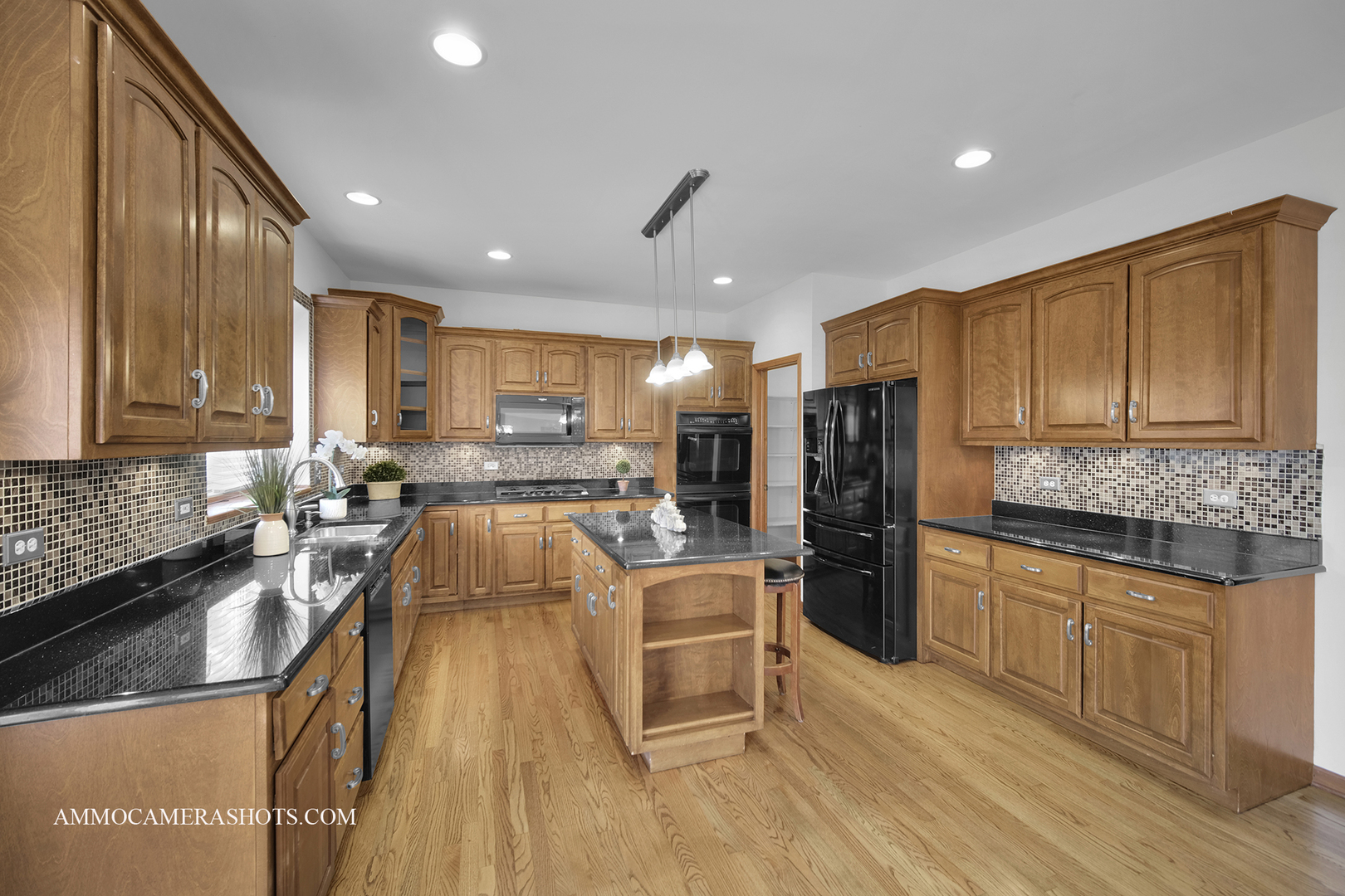 3421 Goldfinch Drive Naperville IL 60564