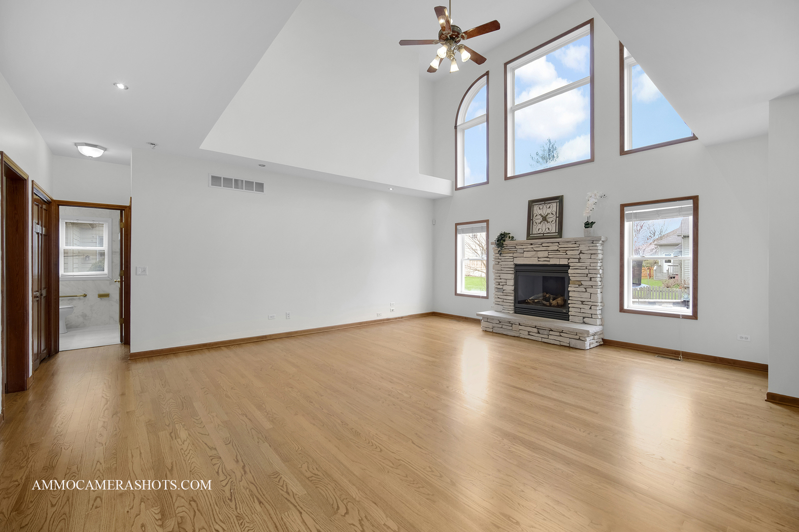 3421 Goldfinch Drive Naperville IL 60564