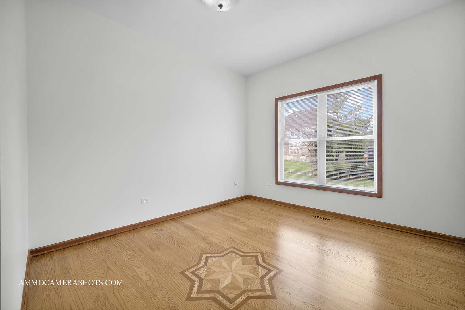 3421 Goldfinch Drive Naperville IL 60564