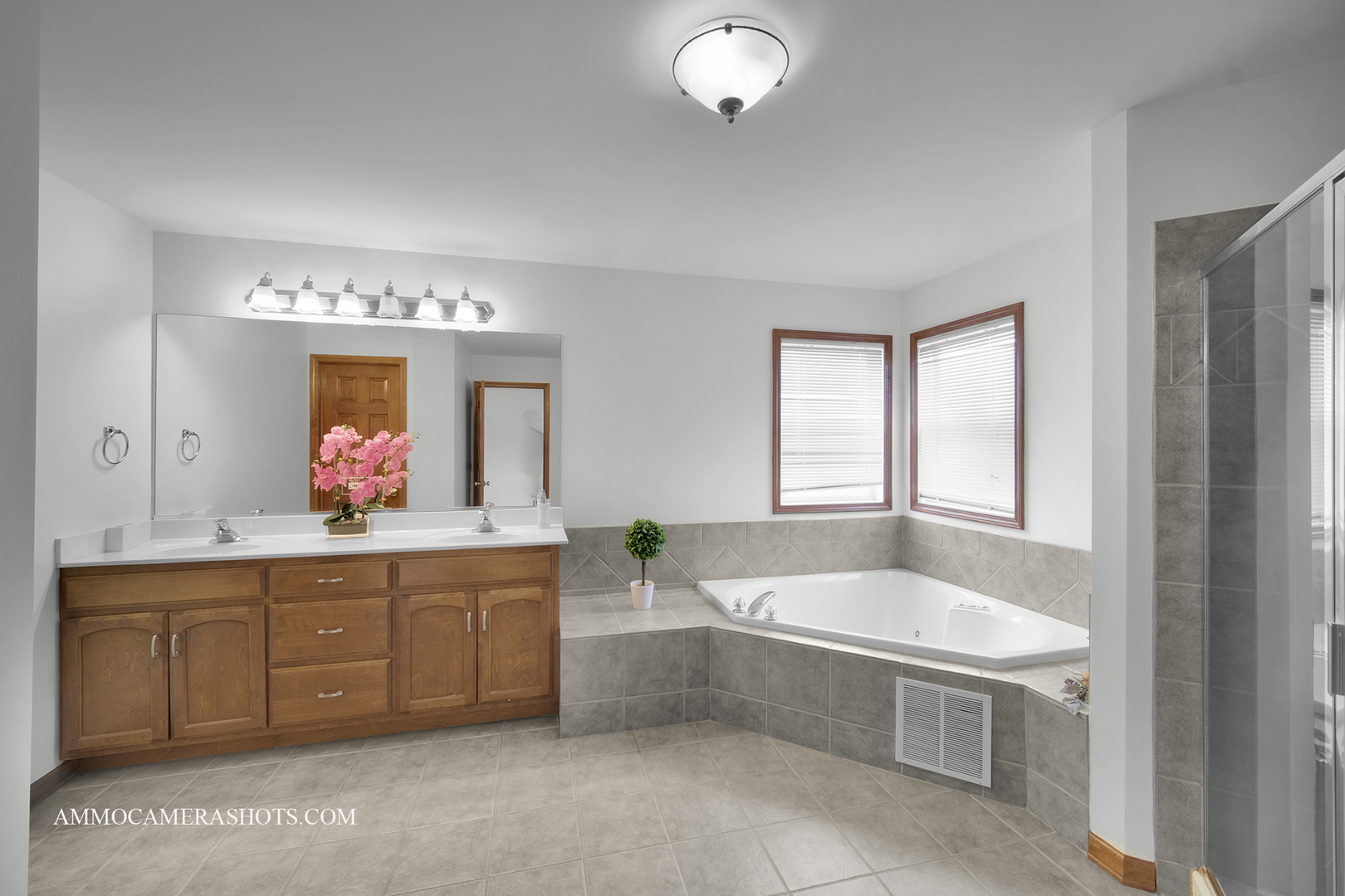 3421 Goldfinch Drive Naperville IL 60564