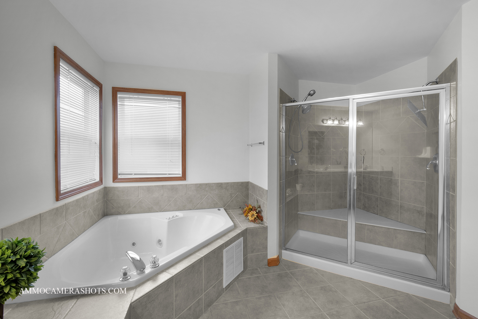 3421 Goldfinch Drive Naperville IL 60564