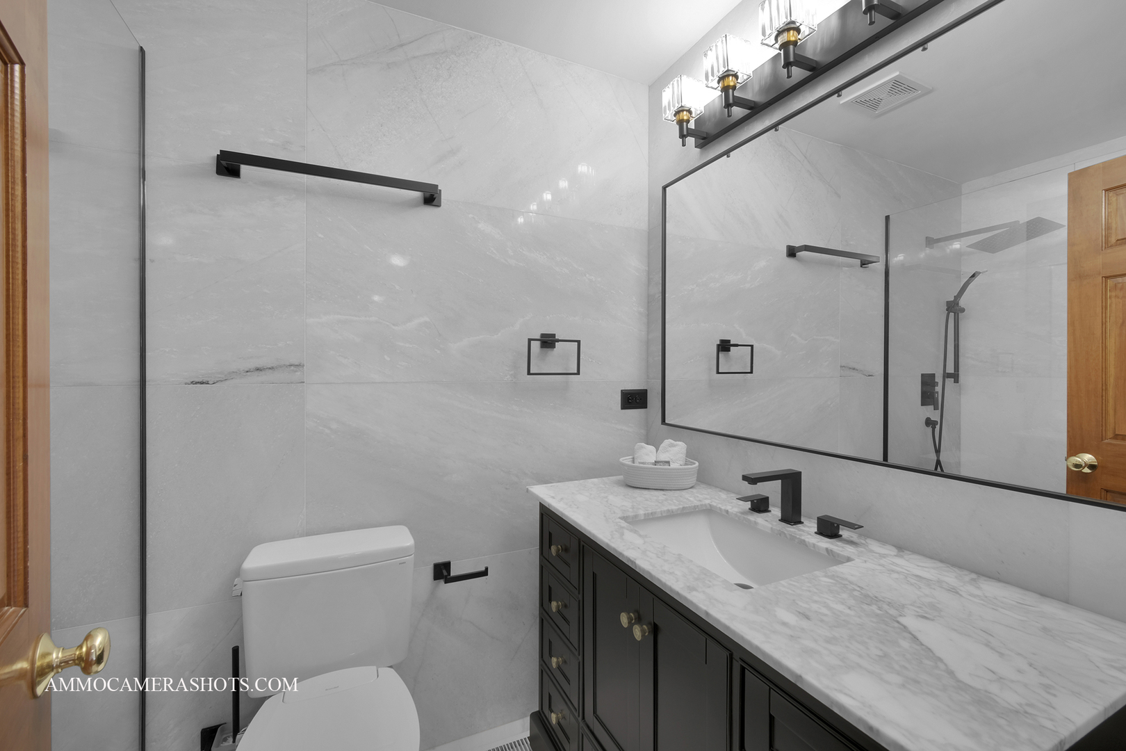 3421 Goldfinch Drive Naperville IL 60564