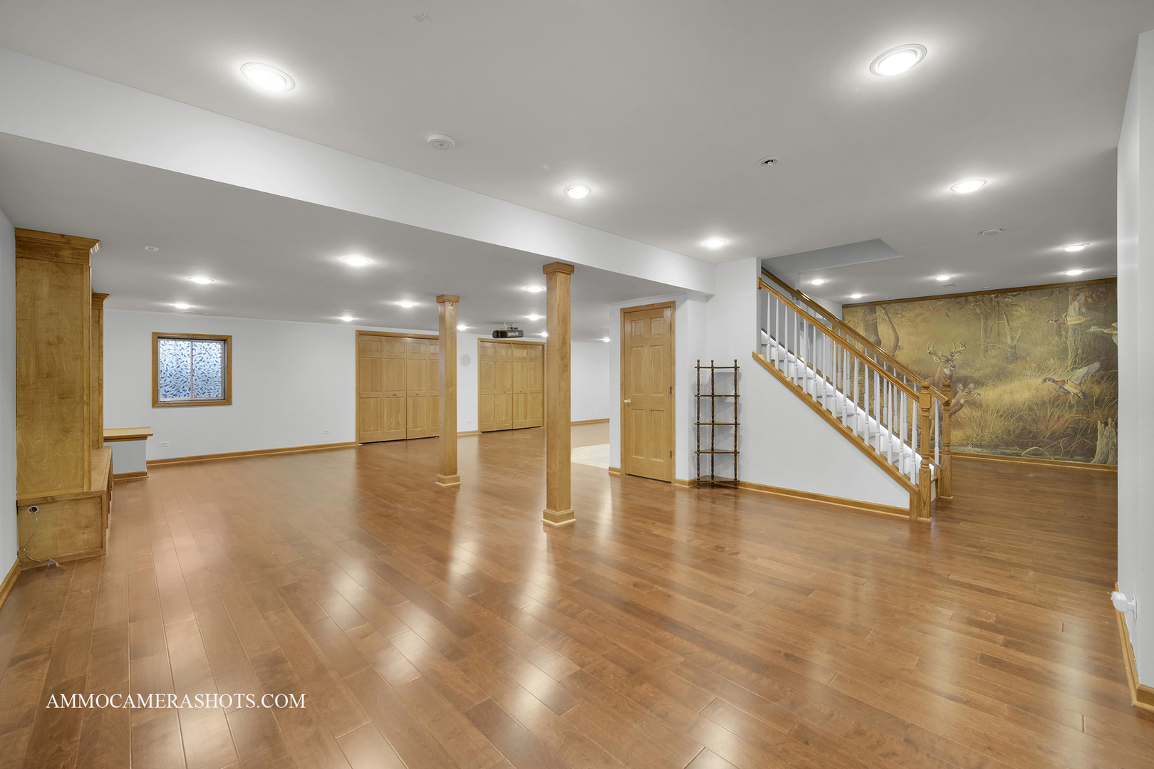 3421 Goldfinch Drive Naperville IL 60564