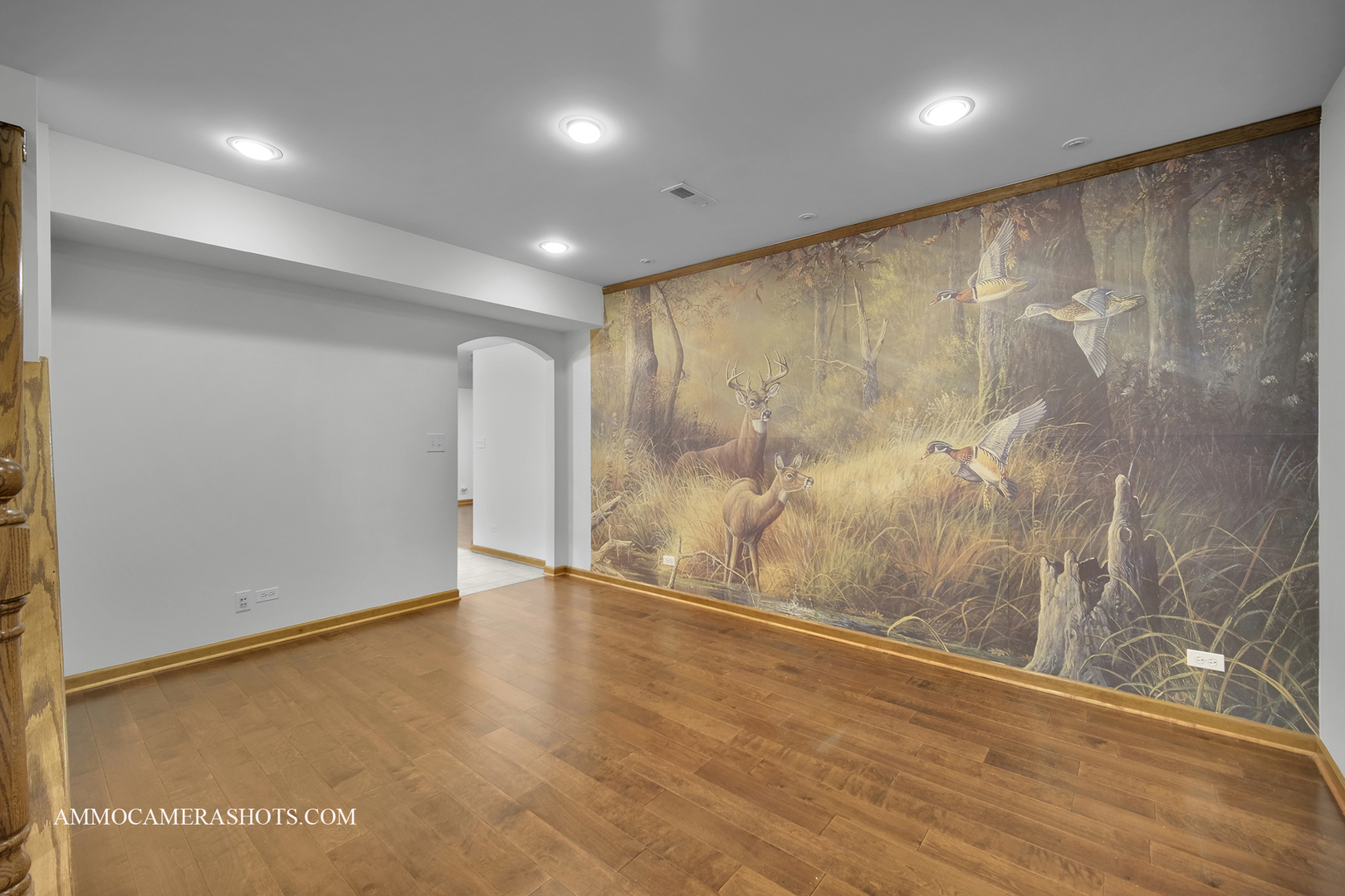 3421 Goldfinch Drive Naperville IL 60564