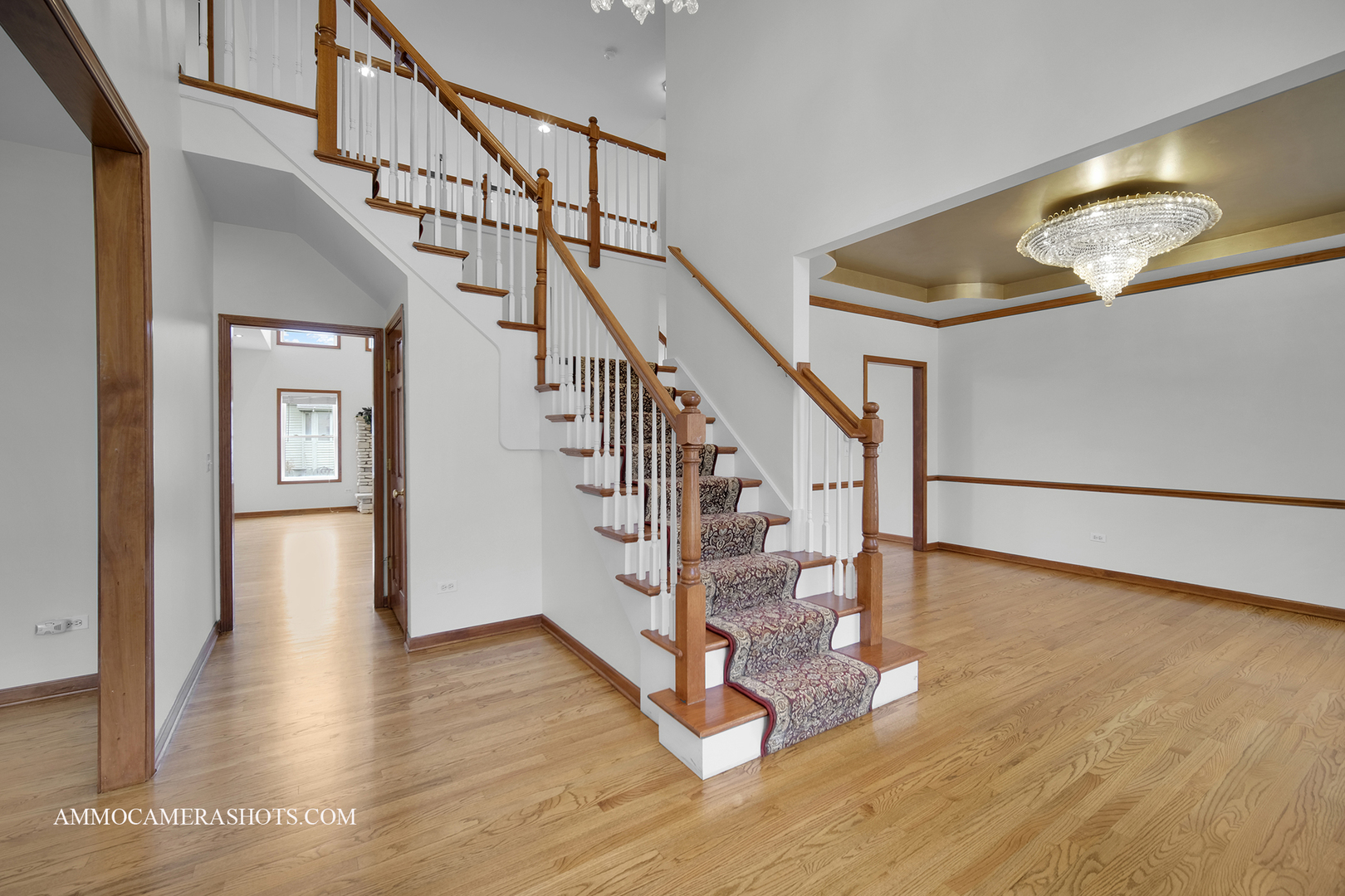 3421 Goldfinch Drive Naperville IL 60564