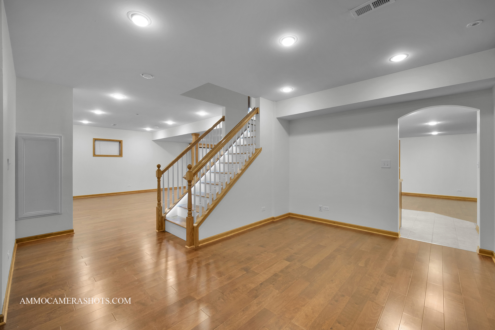 3421 Goldfinch Drive Naperville IL 60564