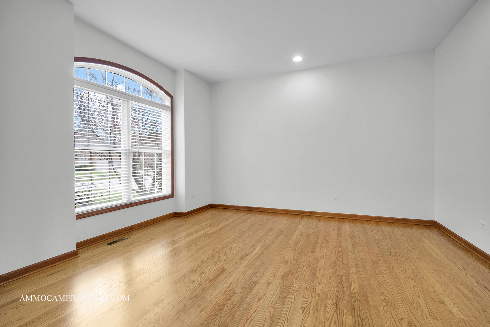 3421 Goldfinch Drive Naperville IL 60564