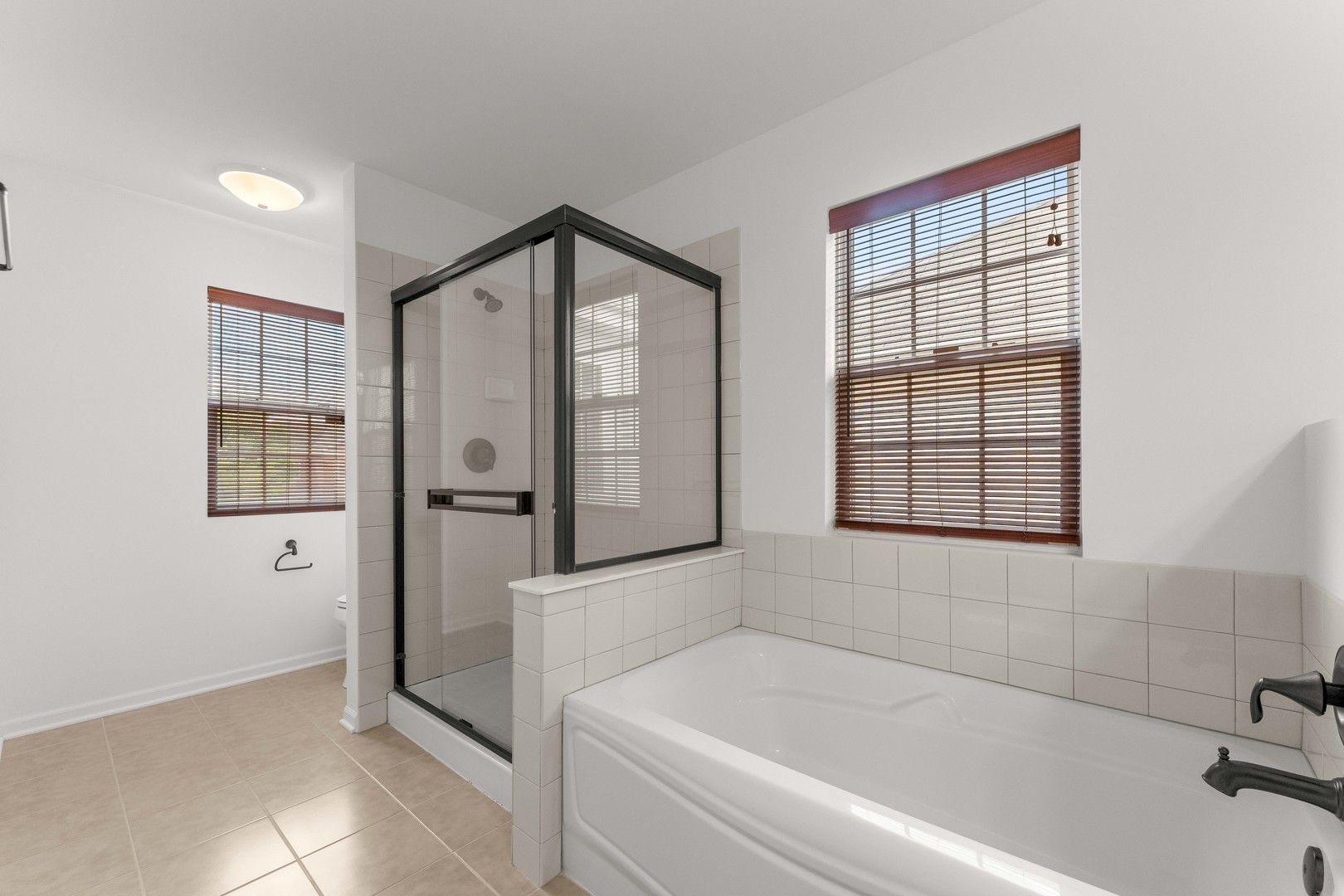 2715 Blakely Lane Naperville IL 60540