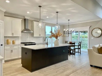 15949 Prairie View Court New Lenox IL 60451