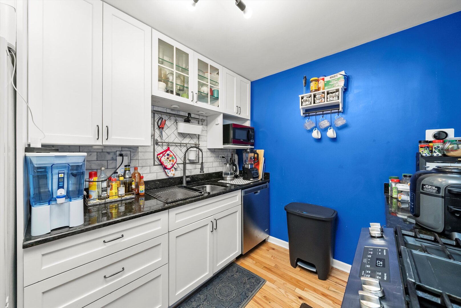 656 Rosner Drive Roselle IL 60172
