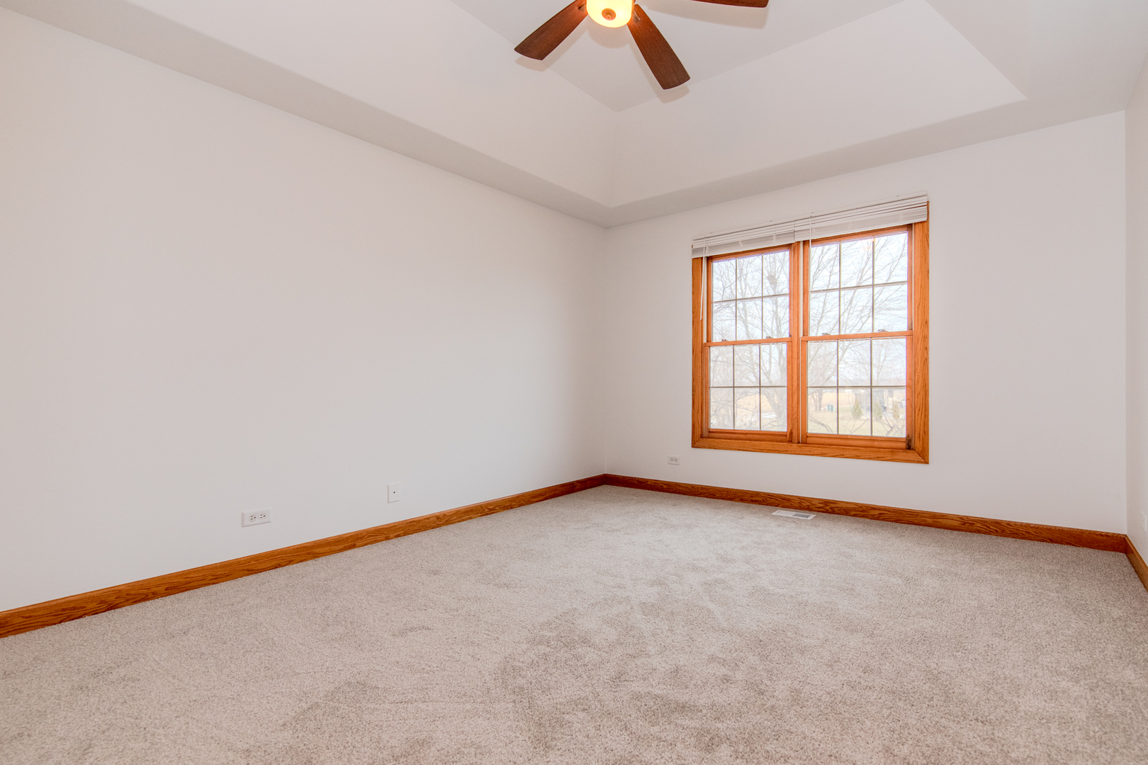 27009 Ashgate Crossing Plainfield IL 60585