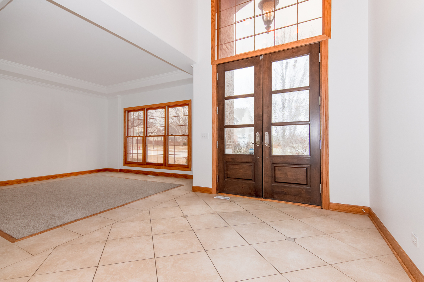 27009 Ashgate Crossing Plainfield IL 60585