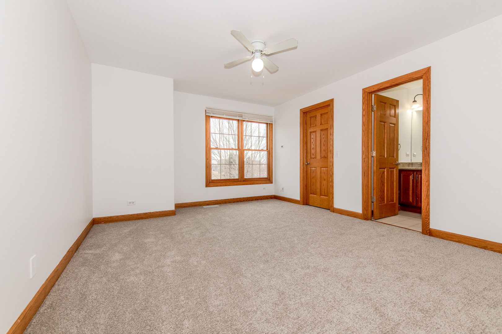 27009 Ashgate Crossing Plainfield IL 60585