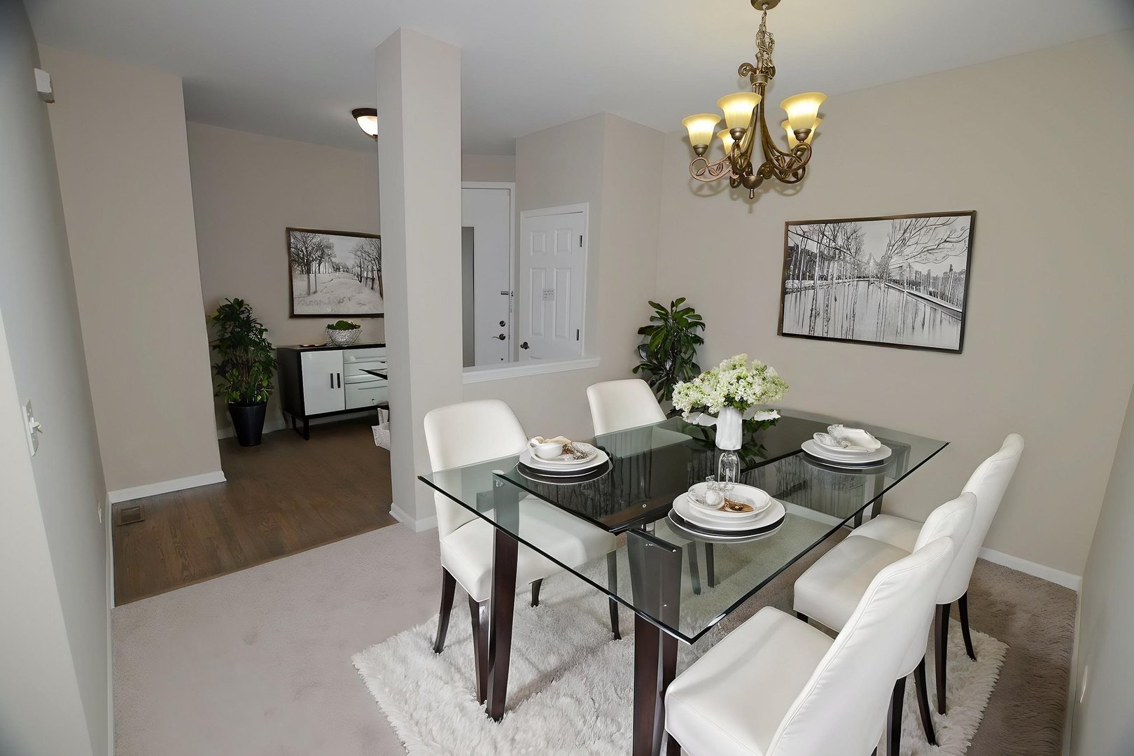 1211 Townes Circle Aurora IL 60502