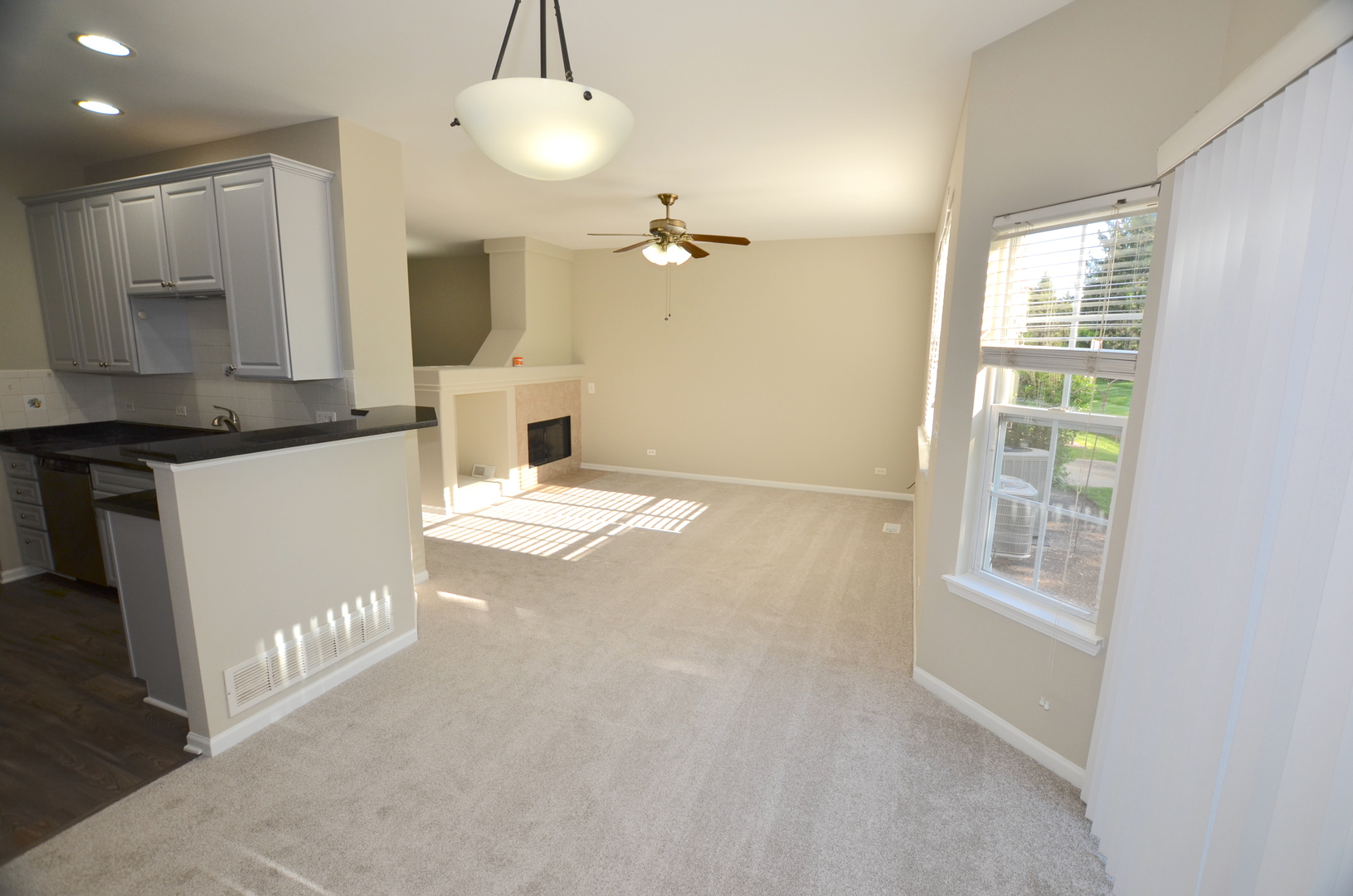 1211 Townes Circle Aurora IL 60502