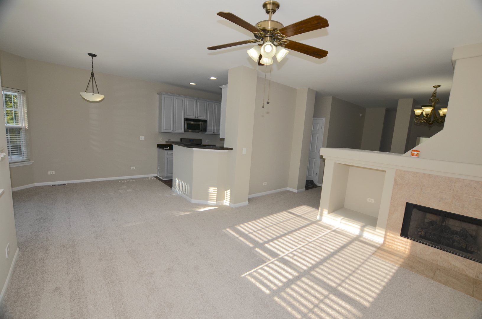 1211 Townes Circle Aurora IL 60502