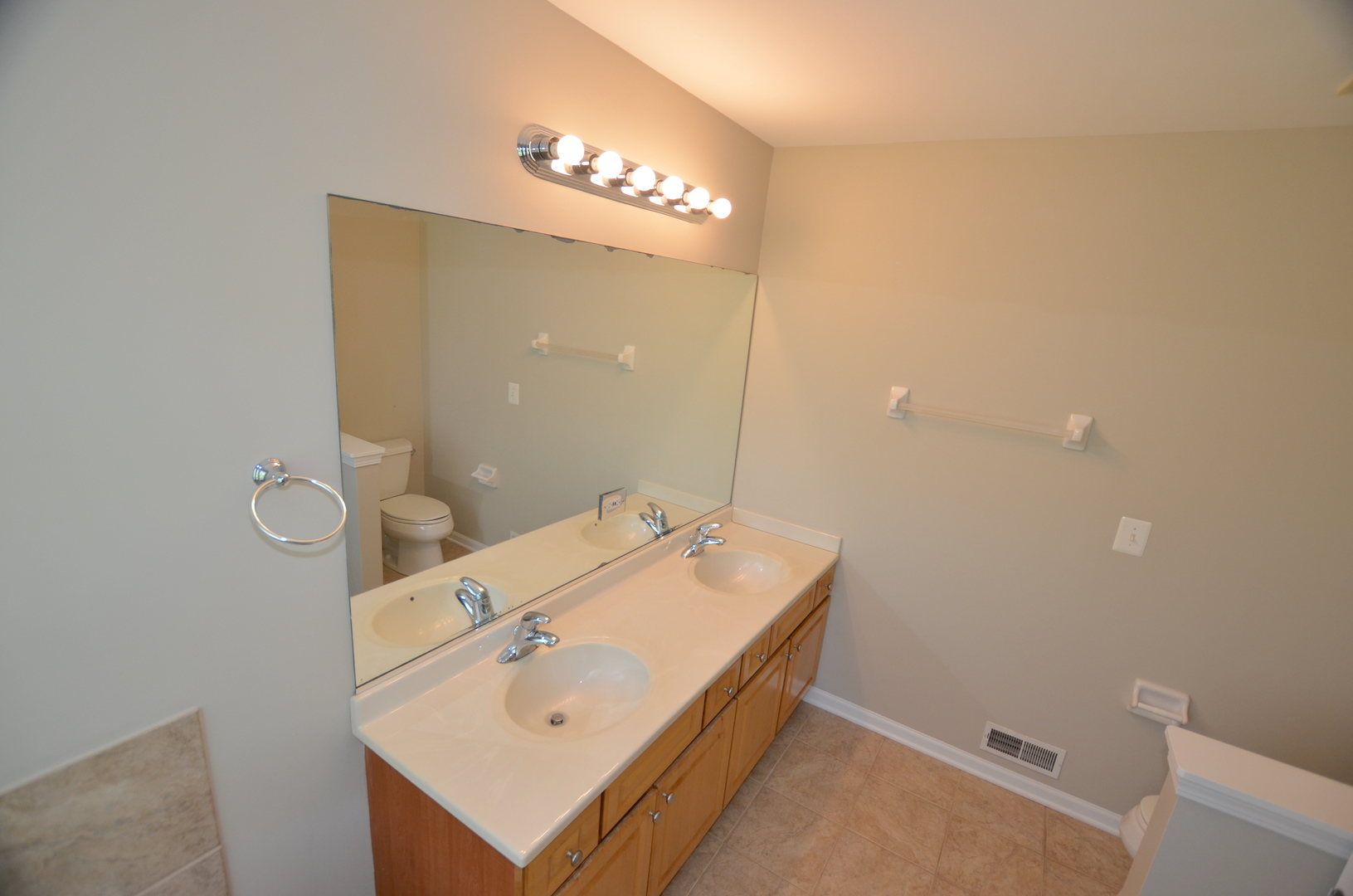 1211 Townes Circle Aurora IL 60502