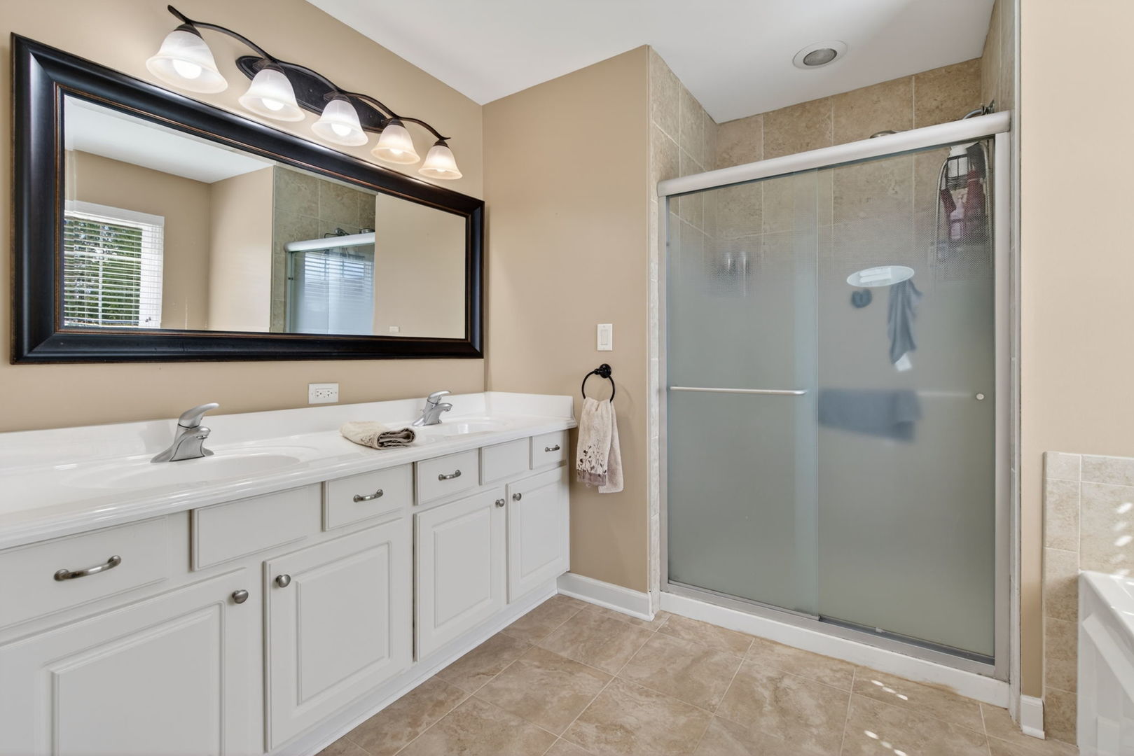 13809 Trillium Lane Plainfield IL 60544