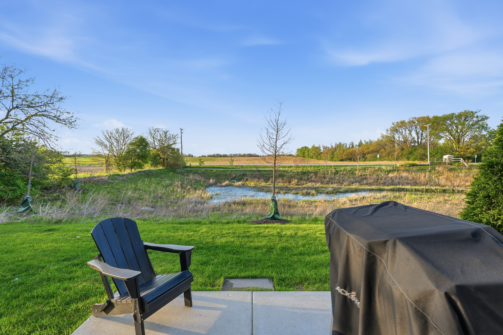16316 South Wheatgrass Street Lockport IL 60441