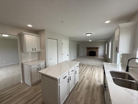 1305 Burns Court Minooka IL 60447