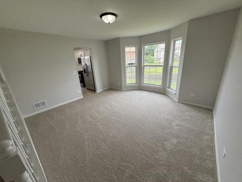 1305 Burns Court Minooka IL 60447