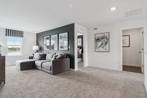 2318 Hirsch Drive Oswego IL 60543