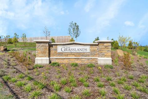 1289 Foxglove Drive Bartlett IL 60103