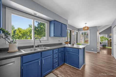 2480 Otter Creek Lane Elgin IL 60124