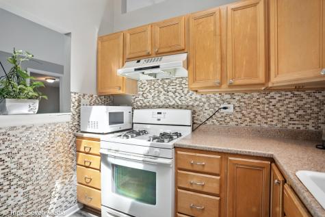 28629 West Ravine Drive Barrington IL 60010