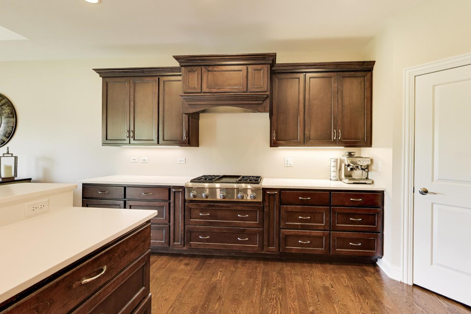 19201 Loveland Court Mokena IL 60448