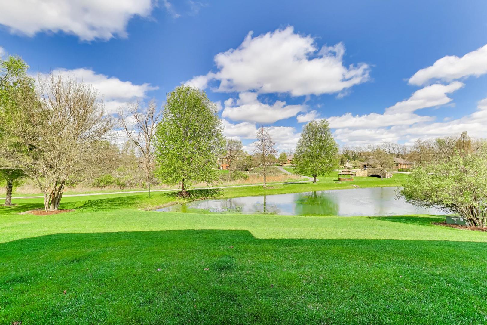 19201 Loveland Court Mokena IL 60448