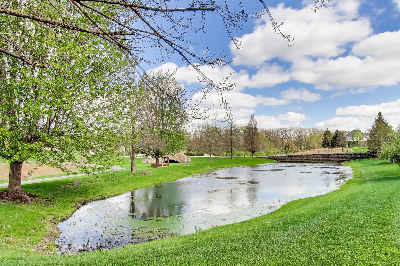19201 Loveland Court Mokena IL 60448