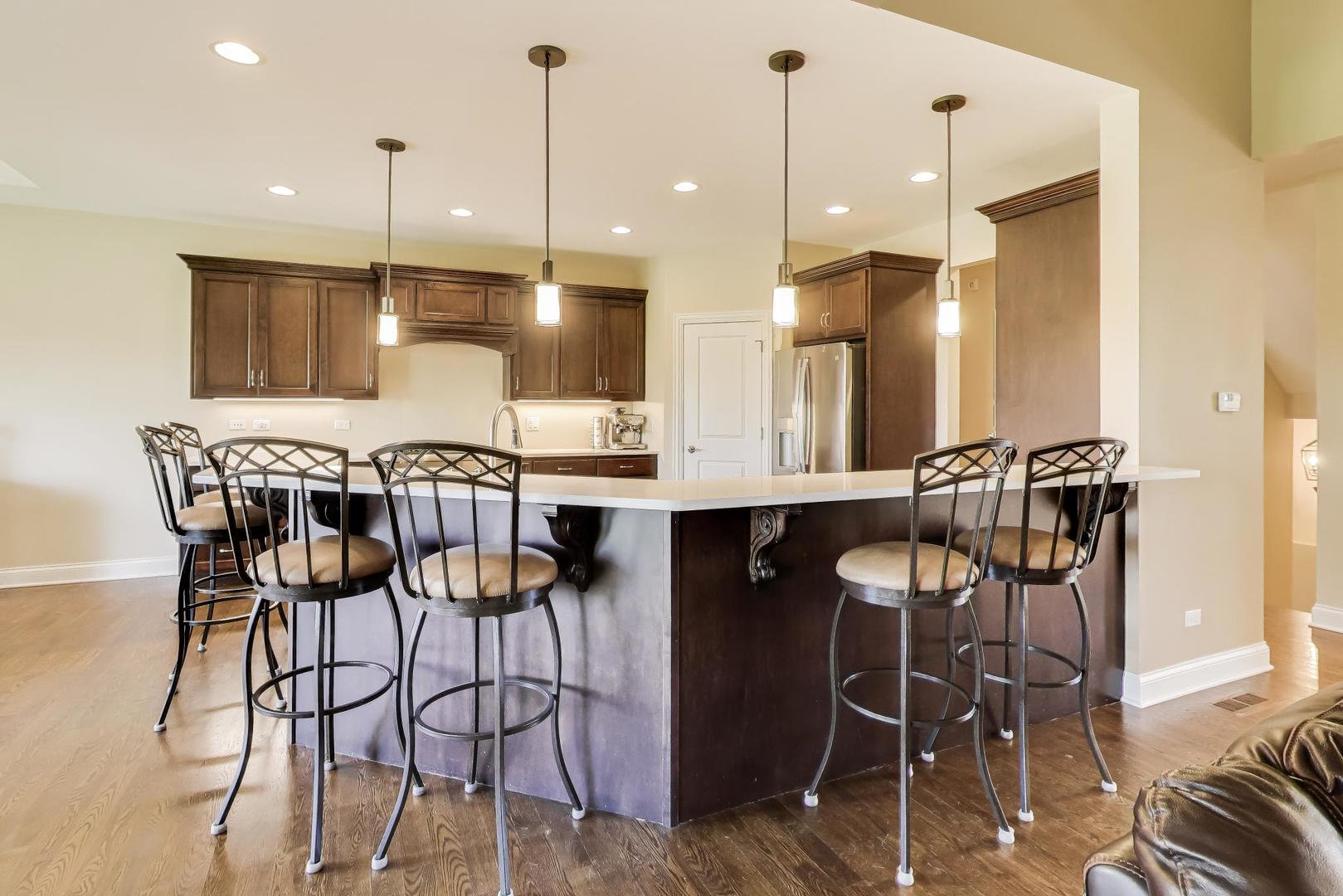 19201 Loveland Court Mokena IL 60448