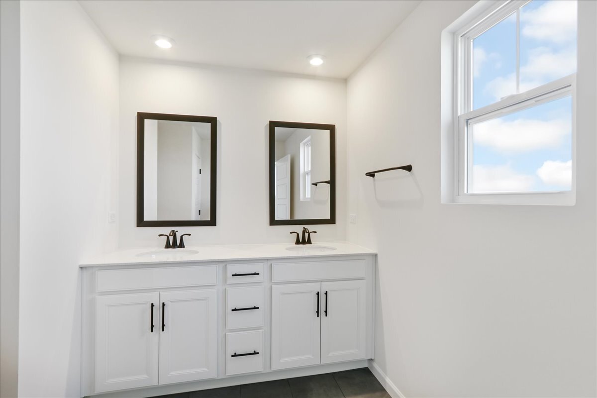 729 Dropseed Lane Bolingbrook IL 60490