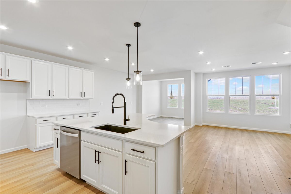 729 Dropseed Lane Bolingbrook IL 60490