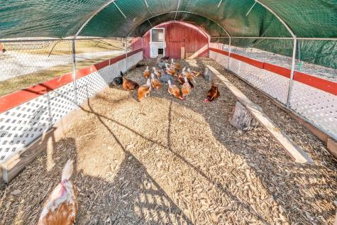 4444 East 1553rd Road Earlville IL 60518