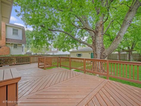 613 North Spring Avenue La Grange Park IL 60526